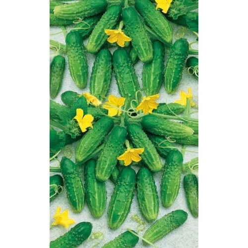 Семена Огурец Надежный 0,4гр (Марс) Б/П