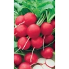 Семена Редис 16 дневный 2гр (УД) Е/П