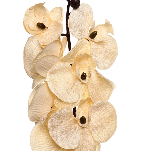 Искусственные цветы FLOWERS MAGIC 70см Орхидея кремовая_8