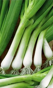 Семена Лук батун Нежность 0,25гр (УД) Е/П