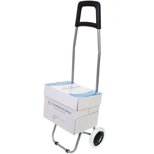 Тележка хозяйственная с сумкой (922733см, колеса 16см,грузоподъемность до 30 кг) грибы DC308_10