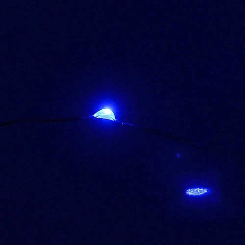 Гирлянда на батарейках 1,5 м 15 ламп LED, Синий_22