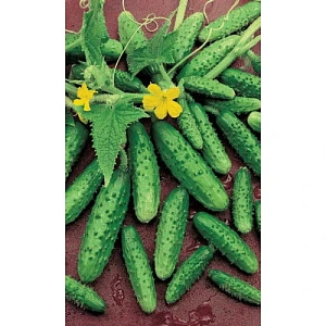 Семена Огурец Водопад 2гр (МАРС) Б/П