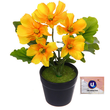 Цветочная композиция "Поцелуй лета" Космея желтая 20см