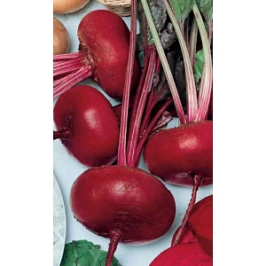 Семена Свекла Египетская Плоская 2гр (Марс) Б/П