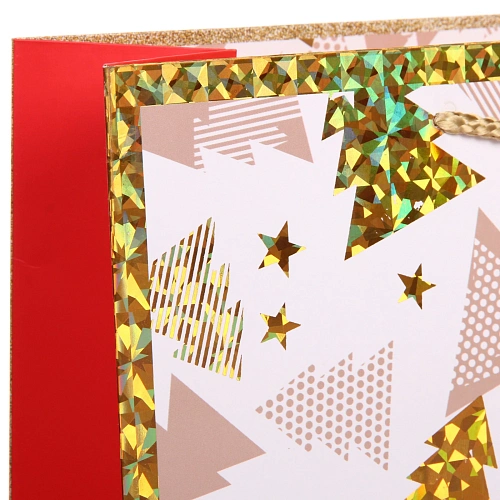 Пакет подарочный Волшебство 314212 см, микс_7