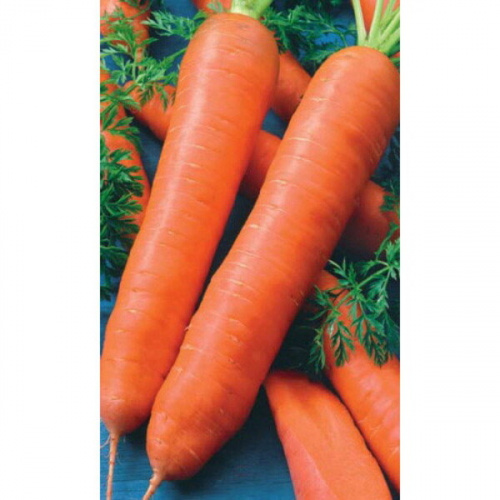 Семена Морковь Королева осени (УД) 2гр Е/П