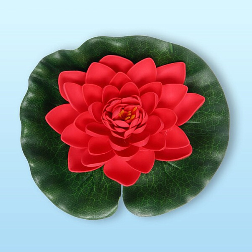 Растение водоплавающее Кувшинка Розитта d-20см красная_5