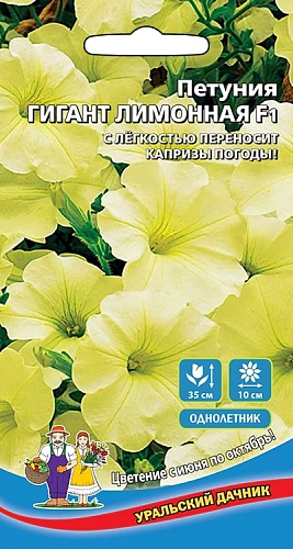 Семена Петуния Гигант Лимонная F1 6шт (УД) Е/П