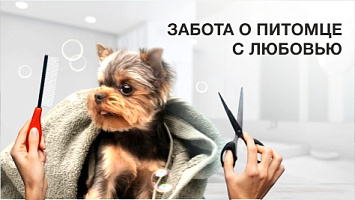 Забота о питомце