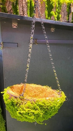 Кашпо для цветов "Сфагнум" с кокосовым волокном, подвесное d=24см, мох