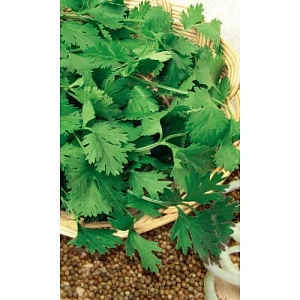 Семена Кориандр (кинза) Авангард 2гр (УД) Е/П