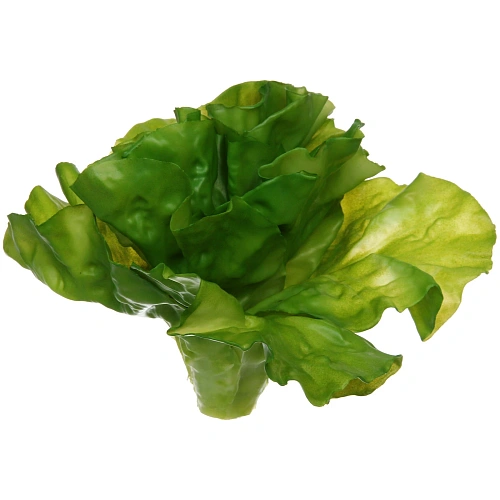 Муляж Салат Латук 1715см_7