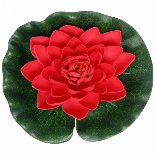 Растение водоплавающее Кувшинка Розитта d-20см красная_6