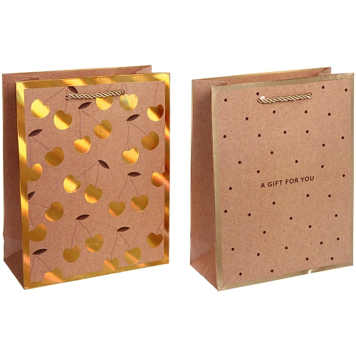 Пакет подарочный В крафтовых тонах 18238 см_3