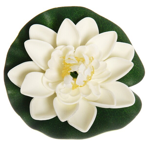 Растение водоплавающее Кувшинка d-10см белая_7