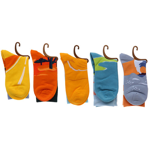 Носки женские ARTE - Пейзаж с рисунком, микс_3