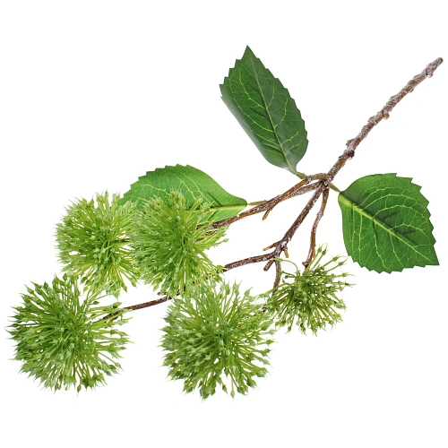 Цветок искусственный Natur 50см Каштан зеленый_7