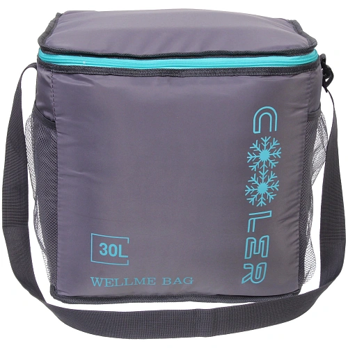 Термосумка 30 л, 352534 см, WM188-5, серый_4