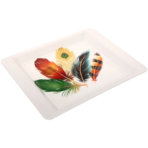 Поднос пластиковый Волшебное перо 38302,5см _3