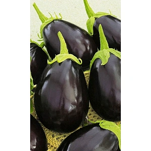 Семена Баклажан Деликатес 163 20шт (УД) Е/П