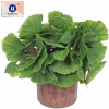 Цветок искусственный в горшке "Папоротник" 16см