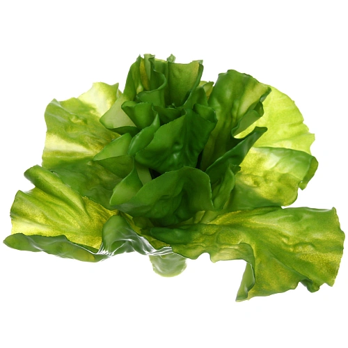 Муляж "Салат Латук" 17*15см