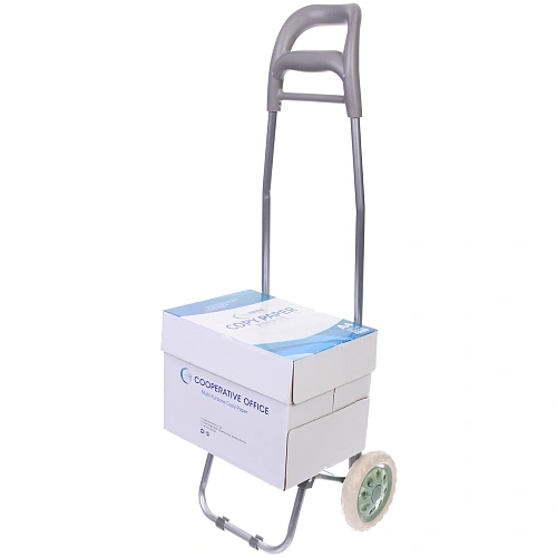 Тележка хозяйственная с сумкой (942534см, колеса 16см,грузоподъемность до 30 кг) серая BF-101A_11