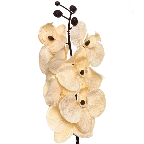 Искусственные цветы FLOWERS MAGIC 70см Орхидея кремовая_7