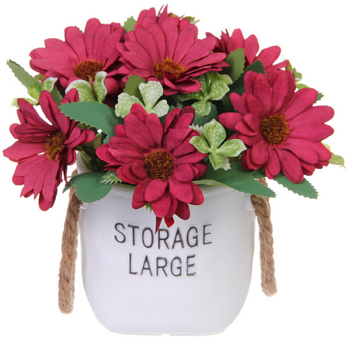 Цветочная композиция "Мечта" 10*20см Ромашки бордовые