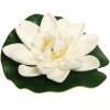 Растение водоплавающее "Кувшинка" d-10см белая