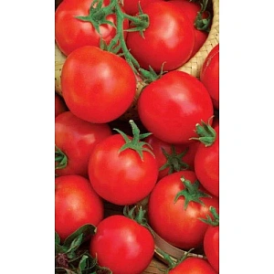 Семена Томат Ранний 83 0,1гр (Марс) Б/П