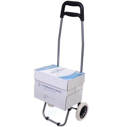 Тележка хозяйственная с сумкой (883430см, колеса 16 см,грузоподъемность до 30 кг) клетчатая DC-306_11