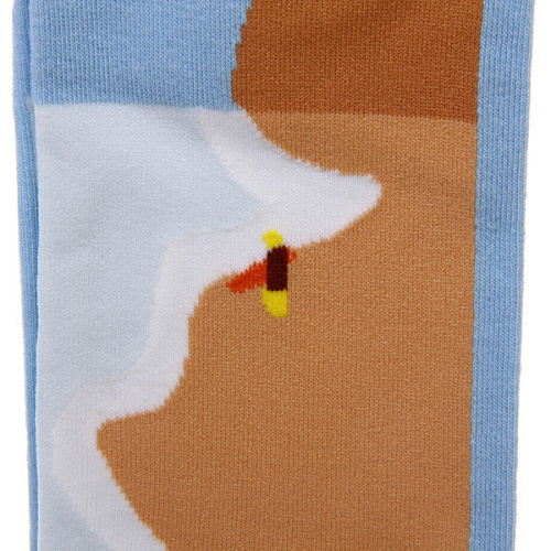 Носки женские ARTE - Велосипедист укороченные, с рисунком, микс_6