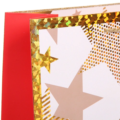 Пакет подарочный Волшебство 314212 см, микс_8