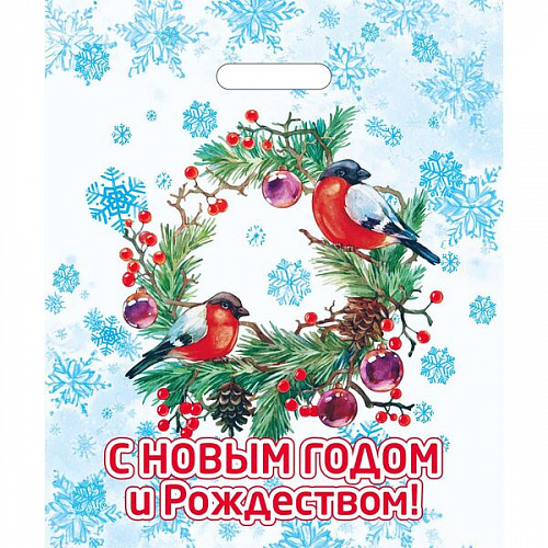 Пакет ПЭ с вырубной ручкой 43*36см "Птицы в лесу" Артпласт