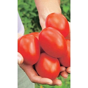 Семена Томат Испанский Гигант 20шт (УД) Е/П