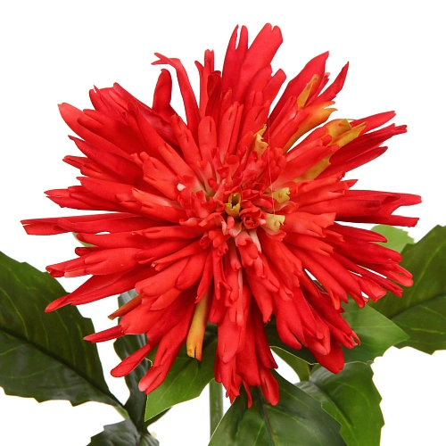 Цветок искусственный Natur 74см Хризантема красная_5