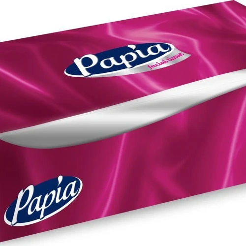 Салфетки бумажные косметические PAPIA 2 сл., 100л (пенал)