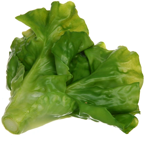 Муляж Салат Латук 1715см_9