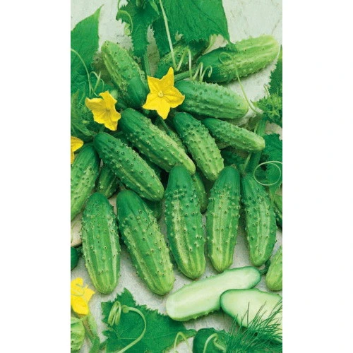 Семена Огурец Уральский засол - корнишон 12шт (УД) Е/П