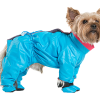 Одежда и обувь для животных