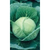 Семена Капуста белокочанная Экспресс F1 0,3гр (УД) Е/П