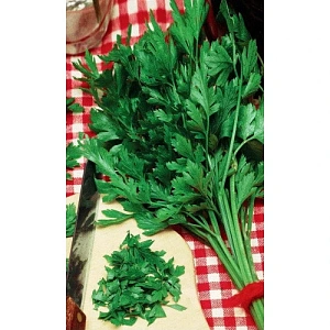 Семена Петрушка Москвичка - листовая 2гр (УД) Е/П